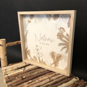 Cadre naissance-Savane