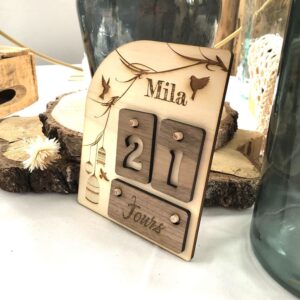 Carte étape évolutive-Cage à oiseau